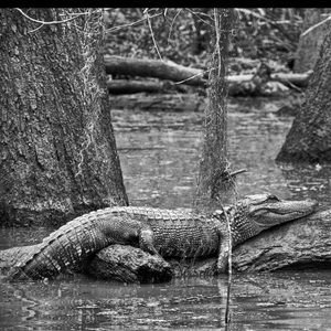 Meet your Posher, Danyel